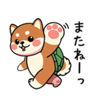 カメ柴#あると助かる！あいさつスタンプ（個別スタンプ：21）
