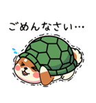 カメ柴#あると助かる！あいさつスタンプ（個別スタンプ：24）