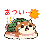 カメ柴#あると助かる！あいさつスタンプ（個別スタンプ：25）