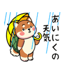カメ柴#あると助かる！あいさつスタンプ（個別スタンプ：28）