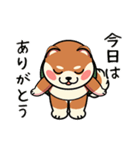 カメ柴#あると助かる！あいさつスタンプ（個別スタンプ：32）