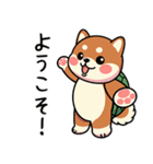 カメ柴#あると助かる！あいさつスタンプ（個別スタンプ：33）