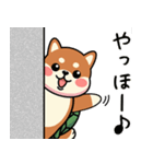 カメ柴#あると助かる！あいさつスタンプ（個別スタンプ：34）