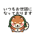 カメ柴#あると助かる！あいさつスタンプ（個別スタンプ：37）