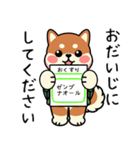カメ柴#あると助かる！あいさつスタンプ（個別スタンプ：40）