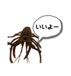 生き物シリーズ:伊勢海老2（個別スタンプ：4）