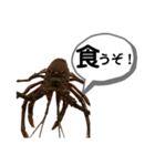 生き物シリーズ:伊勢海老2（個別スタンプ：5）