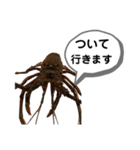 生き物シリーズ:伊勢海老2（個別スタンプ：6）