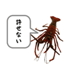生き物シリーズ:伊勢海老2（個別スタンプ：15）