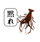 生き物シリーズ:伊勢海老2（個別スタンプ：16）