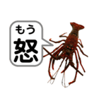 生き物シリーズ:伊勢海老2（個別スタンプ：17）