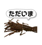 生き物シリーズ:伊勢海老2（個別スタンプ：21）