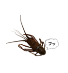 生き物シリーズ:伊勢海老2（個別スタンプ：23）
