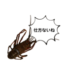 生き物シリーズ:伊勢海老2（個別スタンプ：24）