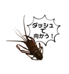 生き物シリーズ:伊勢海老2（個別スタンプ：26）