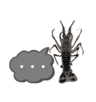 生き物シリーズ:伊勢海老2（個別スタンプ：30）