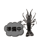 生き物シリーズ:伊勢海老2（個別スタンプ：32）