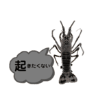 生き物シリーズ:伊勢海老2（個別スタンプ：33）