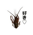 生き物シリーズ:伊勢海老2（個別スタンプ：34）