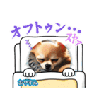 チワワの日常会話集（個別スタンプ：5）