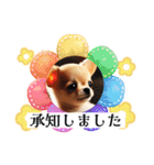 チワワの日常会話集（個別スタンプ：14）