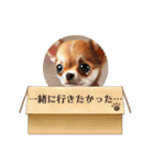 チワワの日常会話集（個別スタンプ：16）