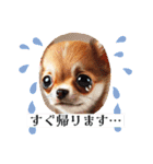 チワワの日常会話集（個別スタンプ：20）