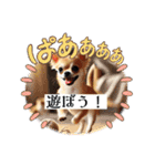 チワワの日常会話集（個別スタンプ：23）