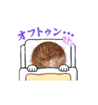 動物スキーム（個別スタンプ：3）