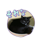 ステイりひ（個別スタンプ：4）