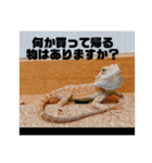 ステイりひ（個別スタンプ：8）