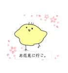 ピヨちゃんLINEスタンプ（個別スタンプ：12）