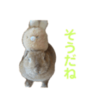うさぎのらてちゃん すたんぷ そのご！（個別スタンプ：15）