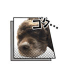 アメリカンコッカースパニエル7（個別スタンプ：26）