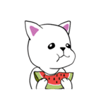 白猫の雲のぼーや（個別スタンプ：2）