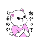 白猫の雲のぼーや（個別スタンプ：4）