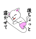 白猫の雲のぼーや（個別スタンプ：23）