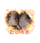 遥月妃と心涼妃（個別スタンプ：22）