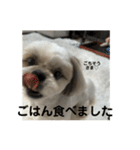 もくちゃんかわいい（個別スタンプ：4）