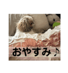 もくちゃんかわいい（個別スタンプ：23）