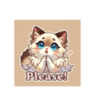 バリニーズ猫のキュートな毎日（個別スタンプ：9）
