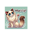 バリニーズ猫のキュートな毎日（個別スタンプ：20）