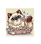 バリニーズ猫のキュートな毎日（個別スタンプ：29）