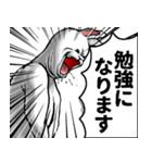 どうぶつが大好き02うさぎ_pro3社会人向け（個別スタンプ：11）