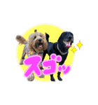 スラッシュ＆ブラン⑤（個別スタンプ：12）