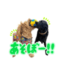 スラッシュ＆ブラン⑤（個別スタンプ：23）