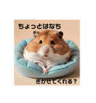 太ったハムタ2（個別スタンプ：27）
