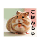 太ったハムタ2（個別スタンプ：30）