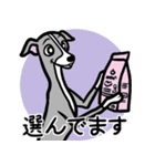 おでかけイタグレ達のスタンプ（個別スタンプ：5）