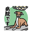 おでかけイタグレ達のスタンプ（個別スタンプ：7）